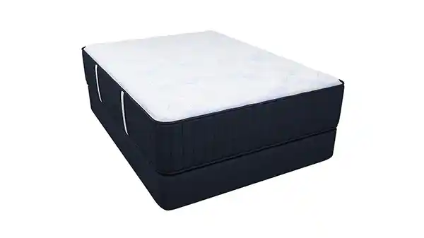 Hartwell plush mattress